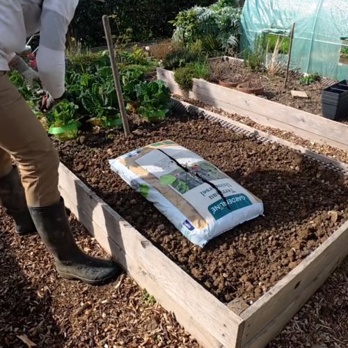 Préparation du nouveau substrat avec un sac de terreau de plantation dans le bac de fraisiers.