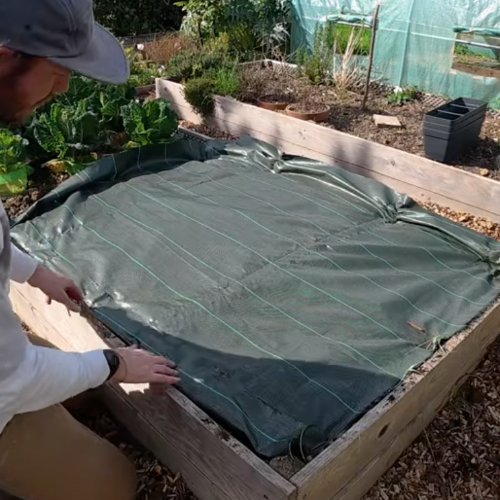 Pose de la bâche tissée sur le bac de fraisiers fraîchement replantés.